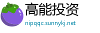 高能投资